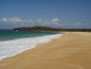 Sur la plage, serviettes de plage