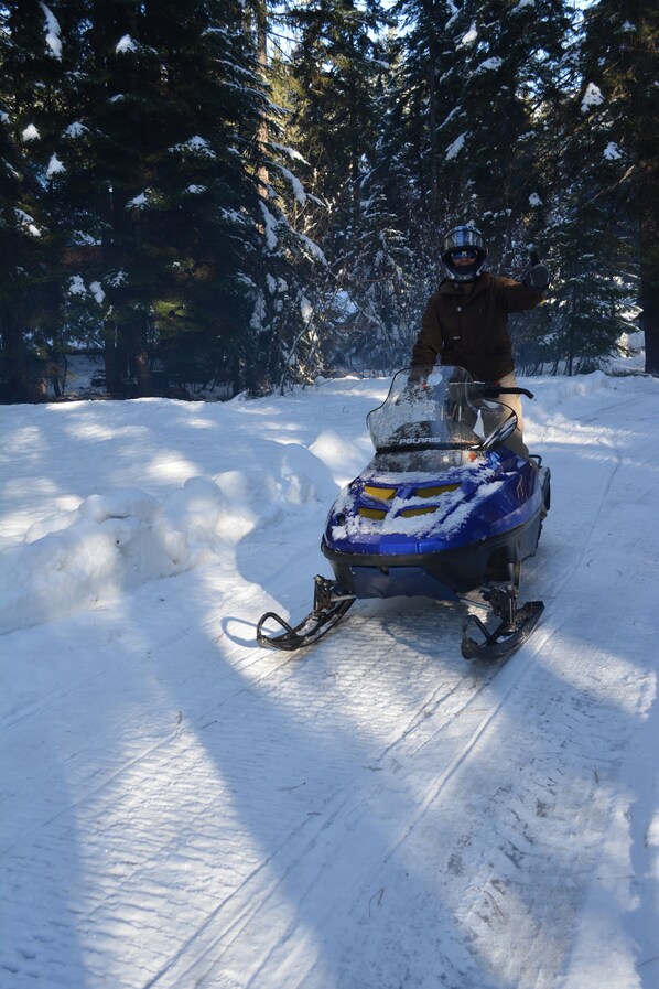 A person on a snowmobile in a snowy forest.