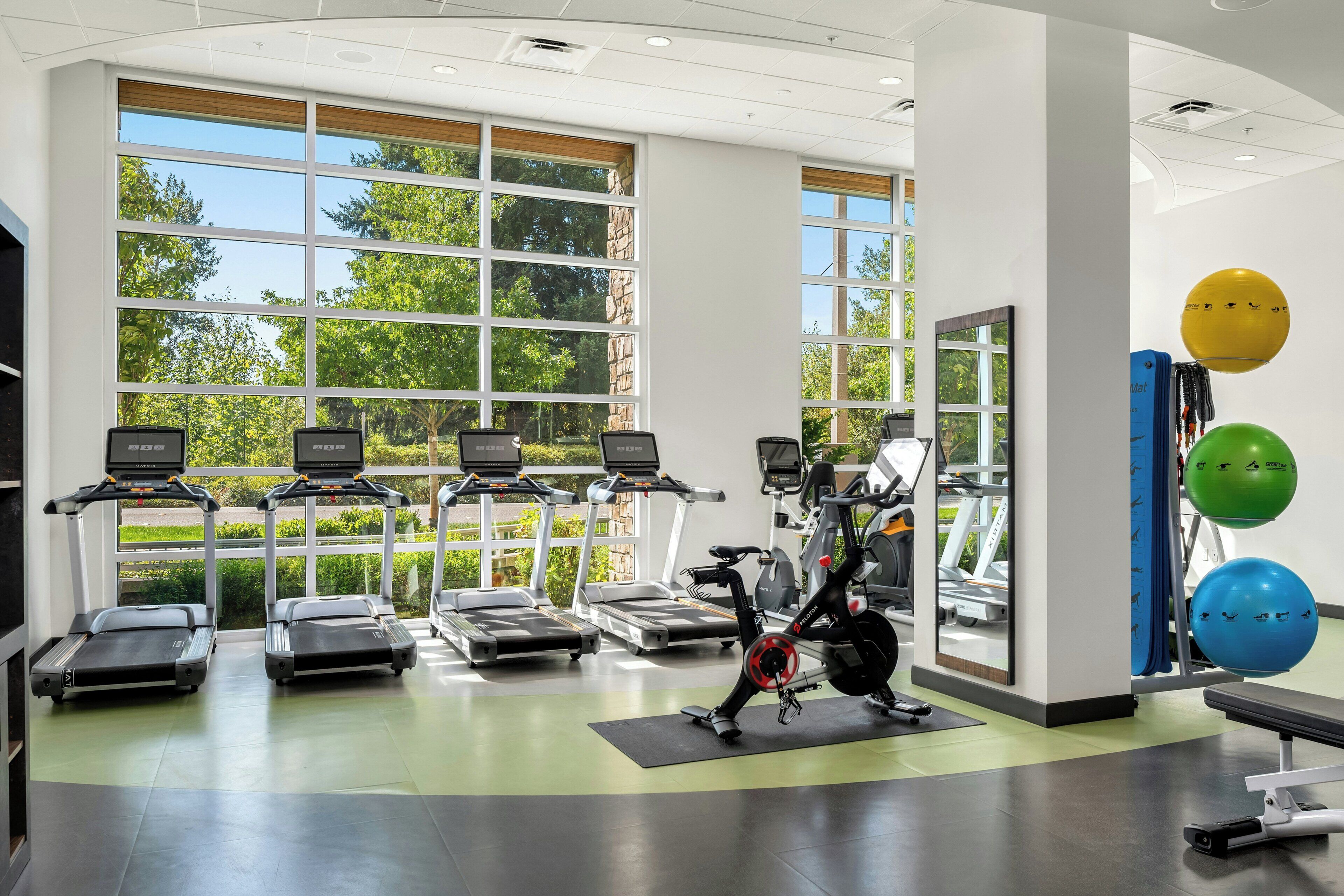 A gym with treadmills, exercise bikes, and free weights.