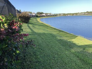 Property grounds - Luxury villa Near Disney Gated Lake View Heated Pool w/ sunset & home office  (Kissimmee)