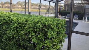 A covered outdoor area with a view of a lake, a hedge, and outdoor furniture.