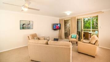 LED-televisio, DVD-soitin