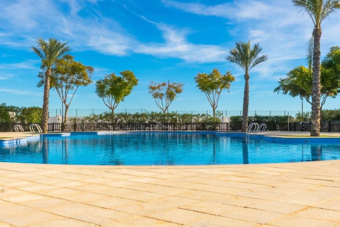 A swimming pool with clear blue water, surrounded by palm trees and a tiled deck.