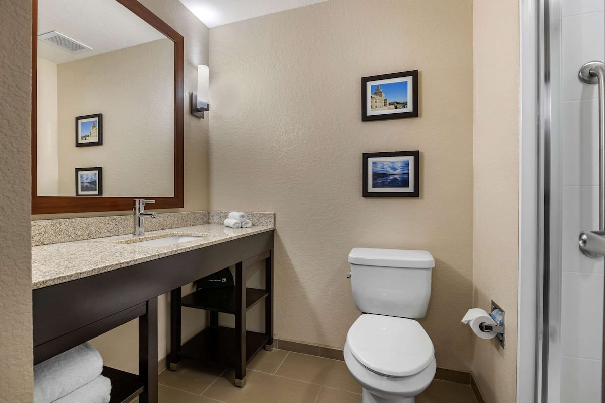 suite, 1 king bed with sofa bed, non smoking | bathroom | combined shower/bathtub, towels