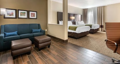 Comfort Inn & Suites Cedar Rapids CID Eastern Iowa Airport