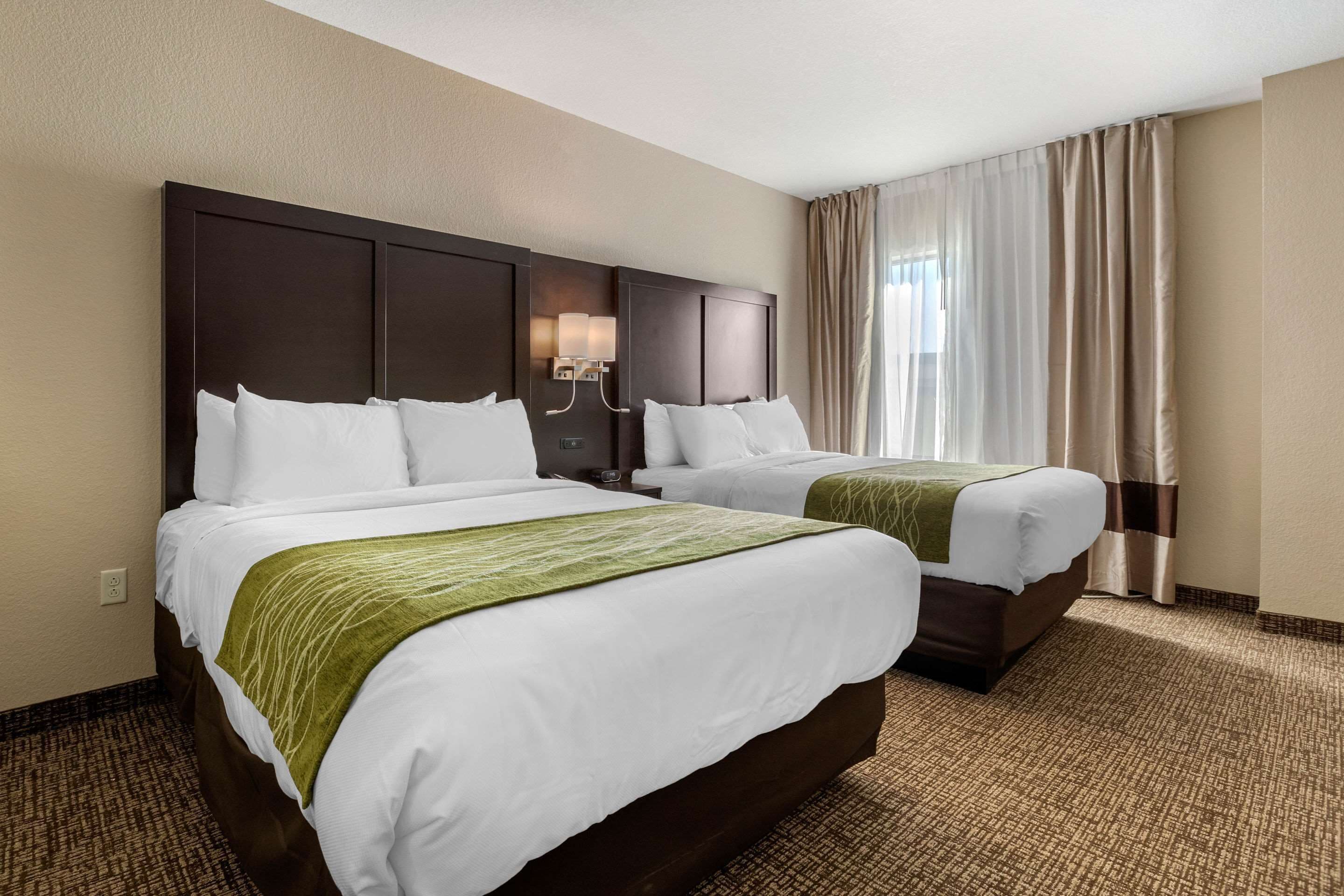 premium bedding, pillow-top beds, desk, blackout curtains