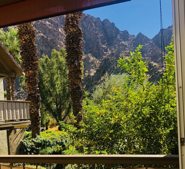 Property grounds - 2 Bed En-Suite Villa Fabulous Mountain Views Indian Wells Tennis, Golf, Relax! (Indian Wells)