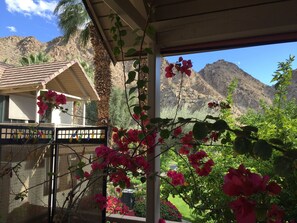 Property grounds - 2 Bed En-Suite Villa Fabulous Mountain Views Indian Wells Tennis, Golf, Relax! (Indian Wells)