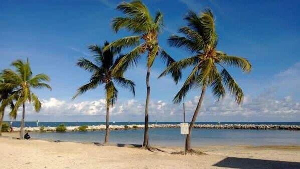 Beach nearby, sun loungers, beach towels
