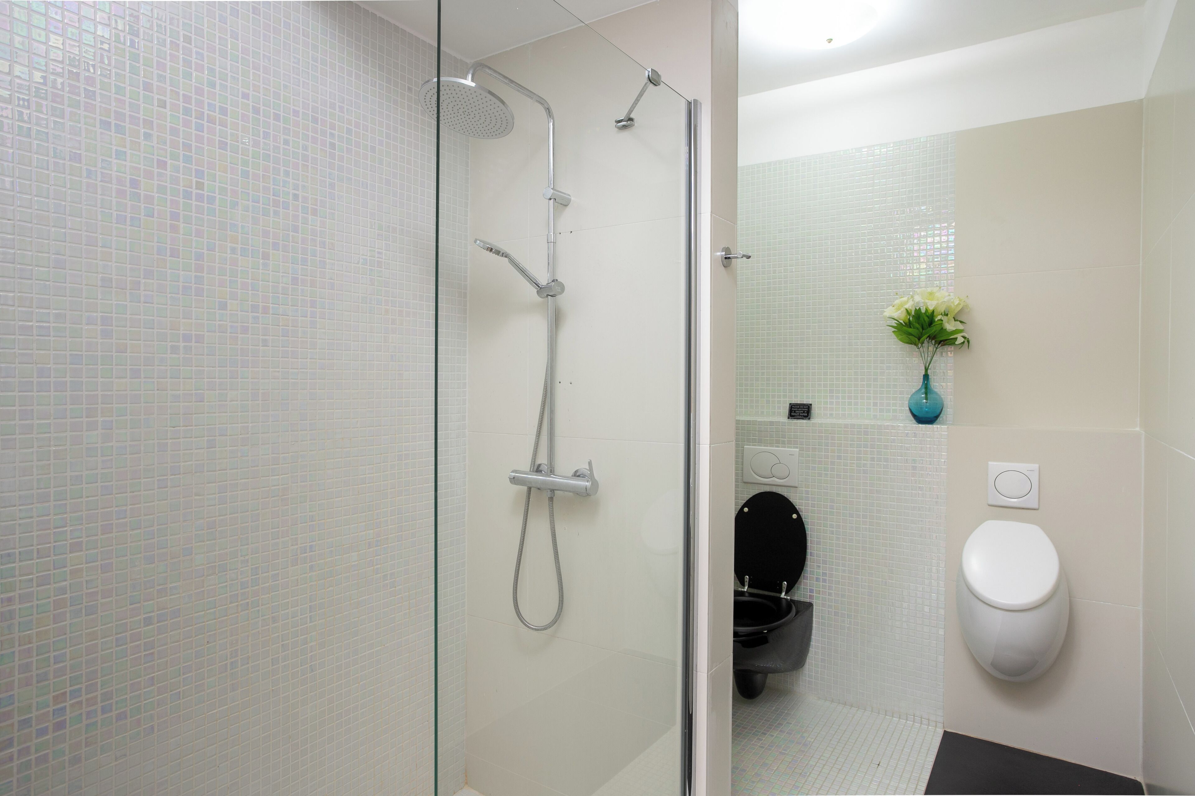 Une salle de bain moderne avec une douche à parois de verre, des toilettes et une petite plante accrochée au mur.