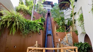 Eine schmale, hölzerne Treppe führt zu einem Gebäude im rustikalen Stil, umgeben von üppigem Grün und Pflanzen.