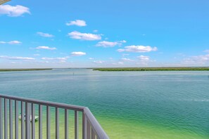 Uklassifisert bilde, 4 av 50, knapp