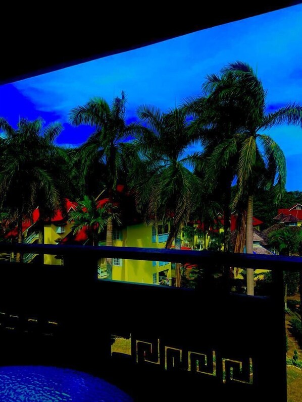 A view of palm trees and colorful buildings, suggesting a tropical location.