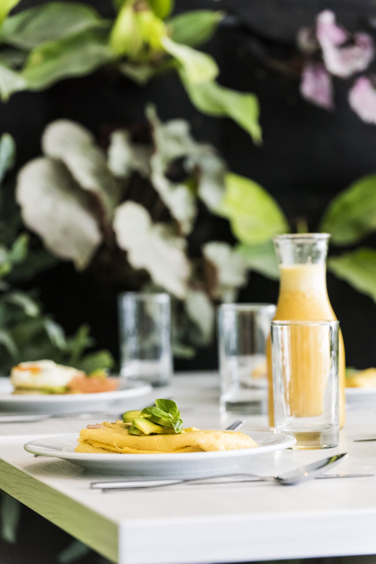 free daily continental breakfast