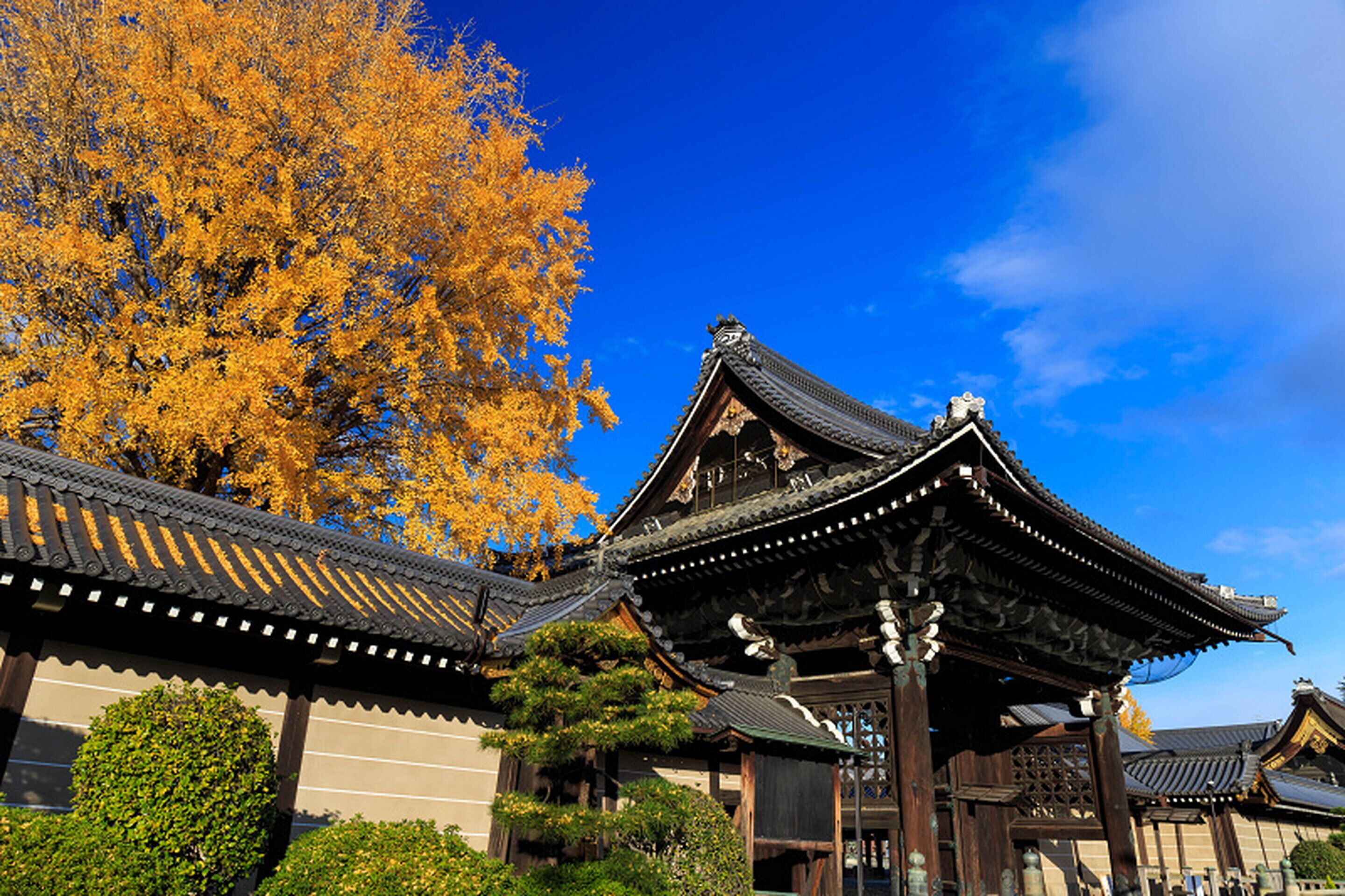 Photo - Stay SAKURA Kyoto Higashi Hongan-ji I