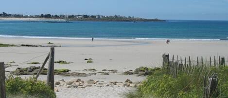 In StrandnĂ€he, LiegestĂŒhle