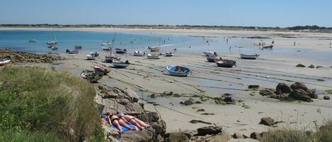 Playa en los alrededores y camastros