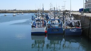 A harbor with several boats docked, a pier, and a building in the background. - Holiday house near the beaches (Penmarch)