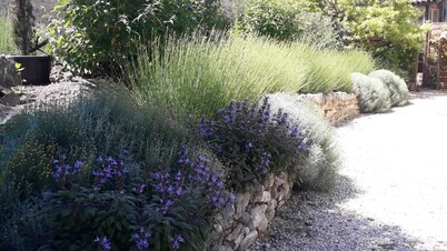 french cottage in beautiful country side. With natural woodland walk.