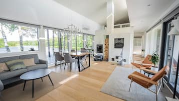 Smart TV, chimenea y libros