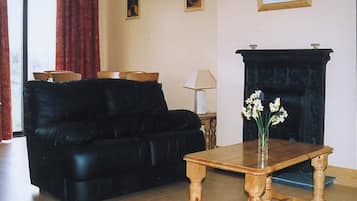 Televisión y chimenea