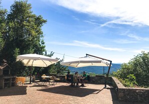 Outdoor dining - Organic Farmhouse in Chianti (Greve in Chianti)