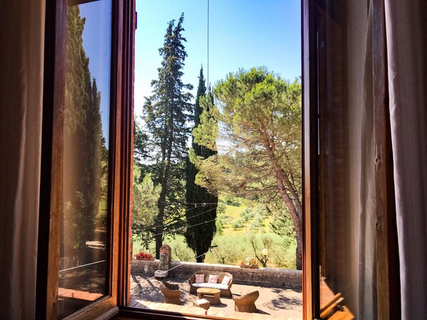 Interior - Organic Farmhouse in Chianti (Greve in Chianti)