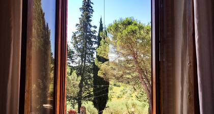 Organic Farmhouse in Chianti