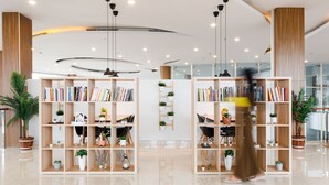 Et moderne bibliotek med træhylder, potteplanter og et pænt, skuret gulv.