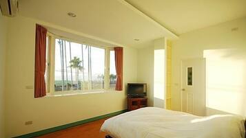 Un dormitorio con cama, televisor y ventana con cortinas.
