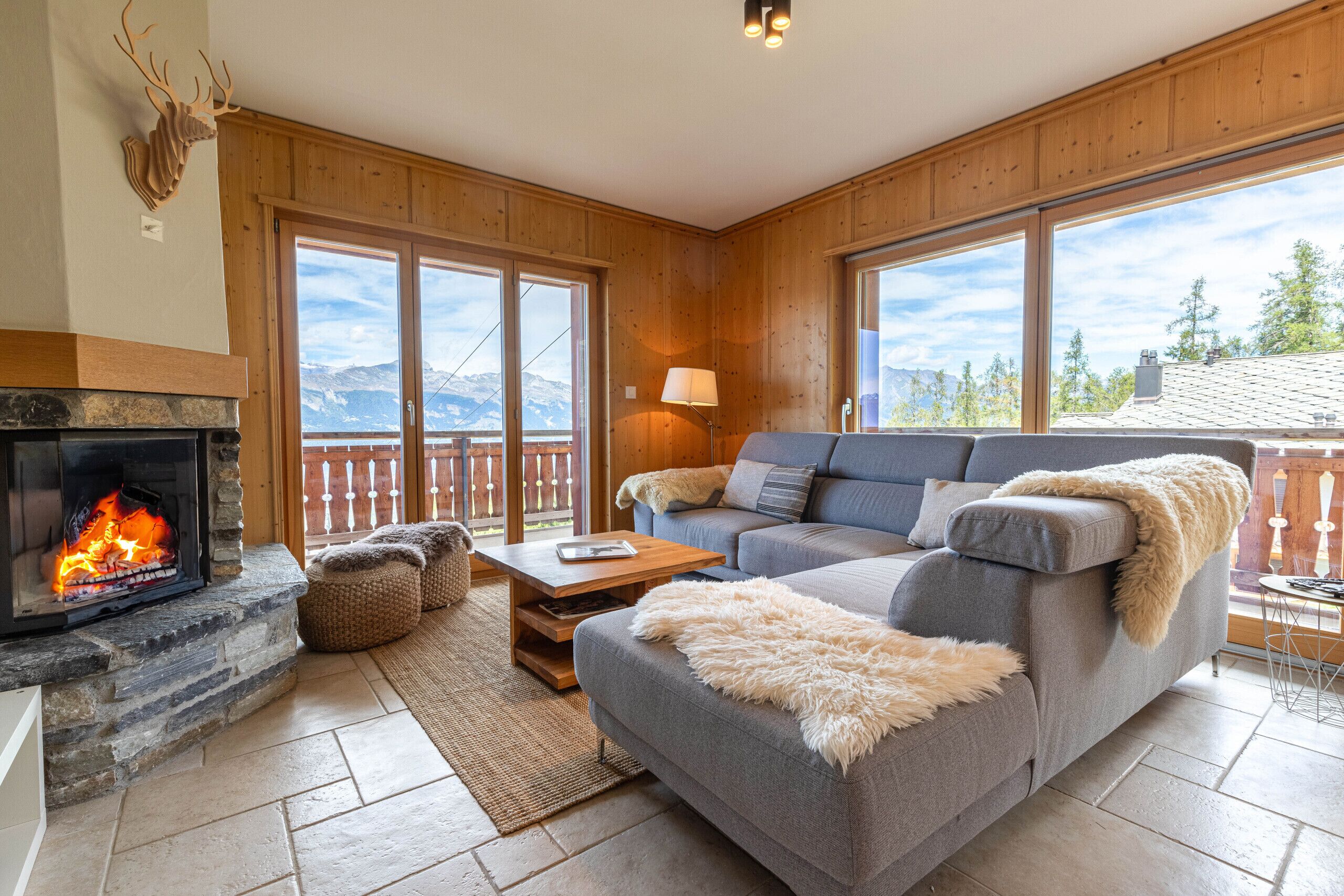 TV, fireplace, DVD player