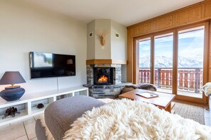 Televisión, chimenea y reproductor de DVD 