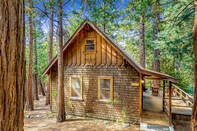 Cozy dog friendly cabin w/large deck, original rock fireplace & loft bedroom