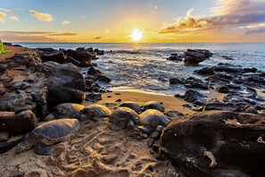 A beach with rocky terrain and a sunset.