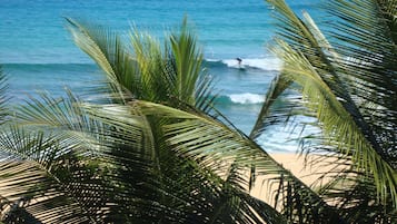 Enjoy a serene beach scene with clear waters and gentle waves, perfect for relaxation and water activities.