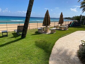 A beachside patio with a view of the ocean, a palm tree, and a row of chairs and tables.