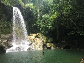 Une cascade se jetant dans un bassin entouré d’une forêt dense.