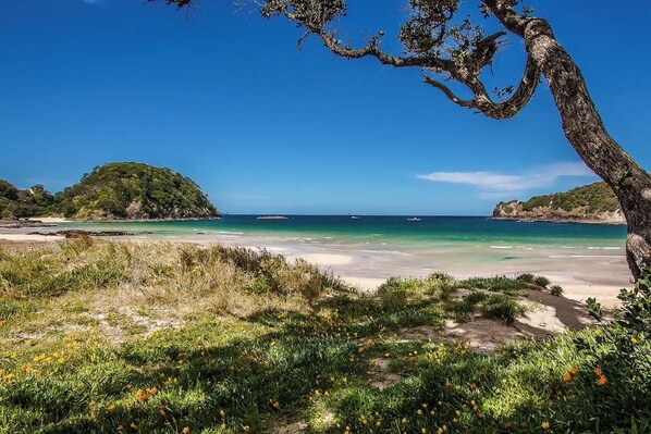 A beach with clear waters, a tree in the foreground, and a distant island. - Matapouri Memories - Holiday Home (Matapouri)