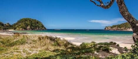 Plage à proximité