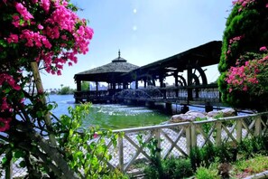 Enceinte de l’hébergement