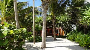 A pathway lined with palm trees and lush greenery, leading to a building with an orange facade. - The only and most charming luxury beachfront cottage on the Riviera Maya (Akumal)