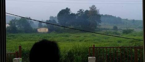 Vista desde la propiedad