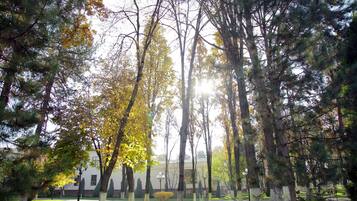 A park with tall trees and a building in the background.