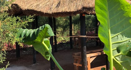 Mount Elgon Guest House