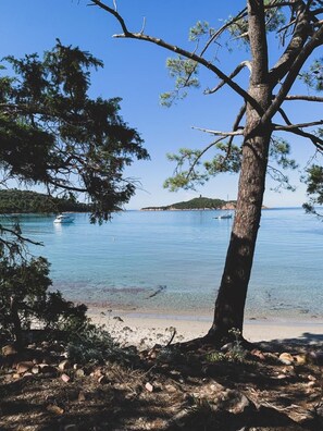 Una playa bordeada de árboles con agua cristalina y barcos.