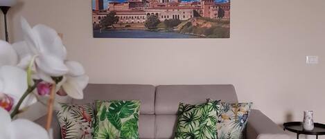 Een smart-tv en boeken