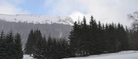 Sne- og skisport