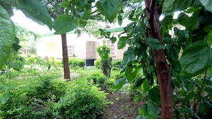 A garden with various plants and a brick building in the background. - Lodge B Mawira (Liwonde)