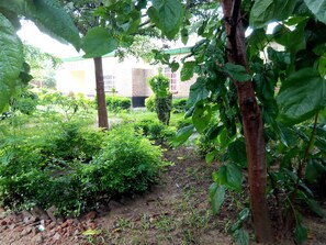 Chambre double | Vue de la chambre