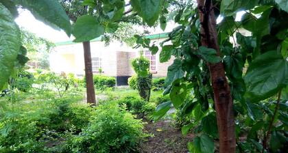 Lodge B Mawira